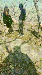 【沐颜】双S-户外捆绑奴隶虐打【双视角版】JS241226-45_2