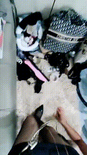 【玥希希】骑狗背舔高跟玉足JS241017-36封面图