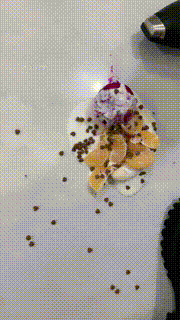 【苏御大大】给狗制作黑暗料理 JS231014封面图