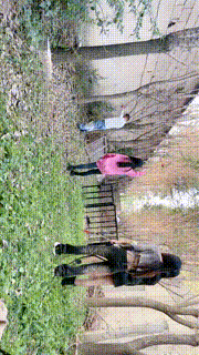 【沅芷大人】高能刑-清晨群调圈养奴-上【三视角版】JS23101520_3封面图