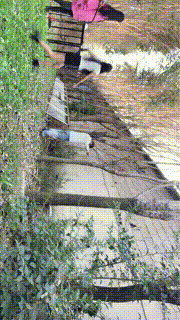 【沅芷大人】高能刑-清晨群调圈养奴-上【三视角版】JS23101520_2封面图