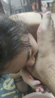 【兔兔m】重口非喜勿进-男M训母畜JS241228-19封面图