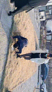 【汝野】户外遛狗爬行清理脏鞋子【双视角版】JS241230-19_1封面图