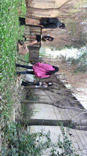 【沅芷大人】高能刑-清晨群调圈养奴-下【三视角版】 bf34121_2封面图