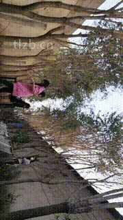 【沅芷大人】高能刑-清晨群调圈养奴-下【三视角版】 bf34121_1封面图