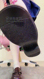 【一茶S】-神里绫华的狗