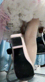 【六六】lo娘白丝lo鞋榨精