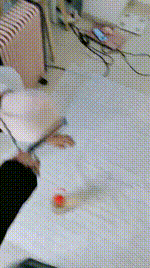 【一茶S】065 玩马桶圣水（非31分钟 完整版）大量圣水强制喝