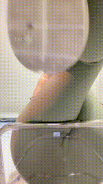 【白桃S】108第一视角-马桶视角，臀下胯下的你有尊严吗？