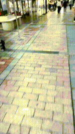 【刘二狗】素人S-手捂窒息-揪耳朵 JS260117-2