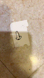 【S老师】司马诅咒cnm完整版 260114-2_2封面图