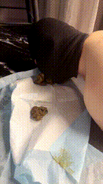 【佚名情侣】玩虐废物绿帽JS260118-26