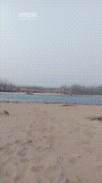 【刑狗】主人带到沙滩湖踢踹坐脸JS260118-13