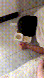 【小软】脚下喂食场JS260119-5