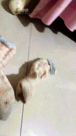 【兔粉粉】gts棉拖脏臭袜260121-24