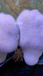 【万万】白棉袜场260122-33