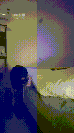 【新乡不遇】家奴的正确唤醒JS260121-3