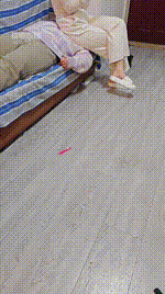 【是樱樱呀】物化坐垫狗JS260117-30