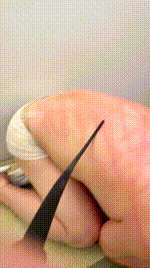 【心心】双S-超重度鞭打-滴蜡【双视角版】 JS260125-31_1