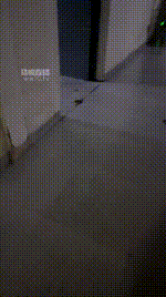 【津津小主】丝袜塞嘴恋足狂舔JS260121-22