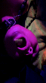 【猫猫】暗黑刑房虐狗【完整版】JS260120-9_2