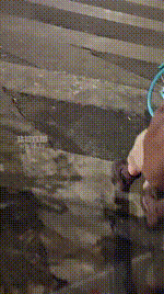 【萝莉收割机】车内白袜玩哥哥JS260119-29