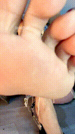 【苒苒】裸足炸J260115-22