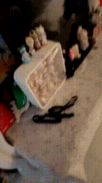 【言泽】白领S高跟黑丝虐杀【完整版】JS260120-7_2