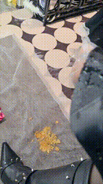 【倪小主】长靴女神踩踏喂食母狗JS260130-12