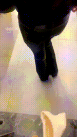 【双子】白袜素人踩木乃伊狗bf60893