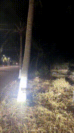 【徐子大大】户外公开遛狗处刑JS260129-19