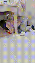 【是樱樱呀】物化座椅狗JS260131-33