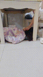 【是樱樱呀】臭脚丫蹂躏母狗JS260131-22