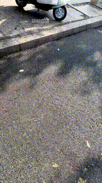 【Vito】粉系少女车内调狗 JS260206-3