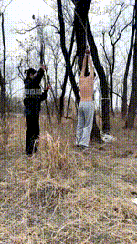 【苏御大人】户外吊绑重度虐打JS260129-3