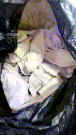 【万万】白袜寸止训练260130-24_1