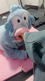 【阿黎】拴狗链-戒尺虐打JS260129-32