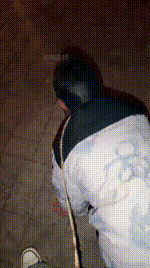 【顺神s】户外遛狗-舔脏鞋底JS260128-34