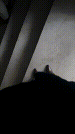 【77夫妻】户外女老板虐下属 JS260205-1