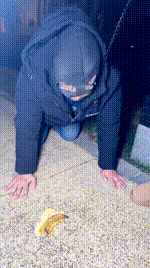 【苏婉S】户外遛狗-女厕场JS260128-32