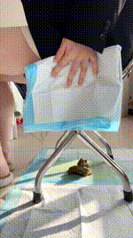 【乐乐】赏赐贱狗黄金圣水厕纸260201-9封面图