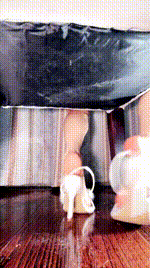 【奶味小仙女】高跟下的私奴260203-20