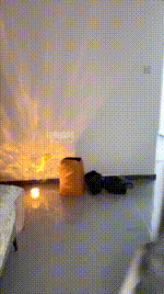 【十一】裸足胯下羞辱260203-29