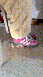 【嘀嘀哒嘀】踩小面包260203-6