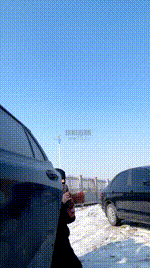 【兰主人】雪地户外训狗 bf60925