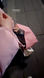 【素人挖掘机】户外开发车内调 JS260201-11