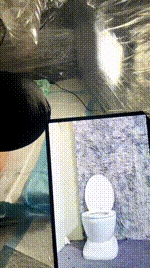 【荷花会所】挑战7S黄金完食260131-6