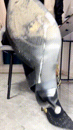 【酒鸽】乳母辱妻绿帽260204-11