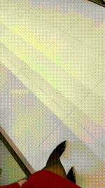 【Sera】家务狗奴进行时 JS260212-16