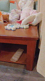 【是樱樱呀】物化家具奴【三】 JS260208-39